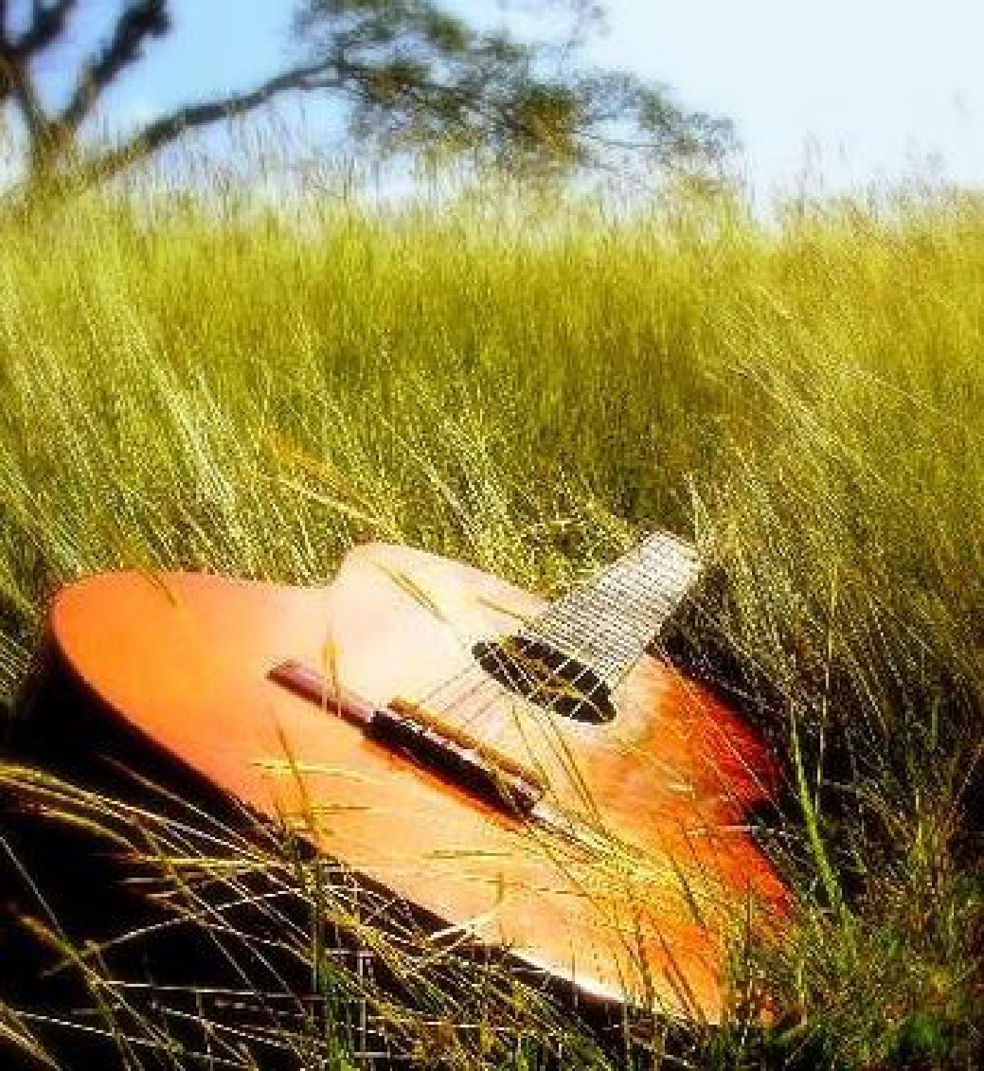Download Music